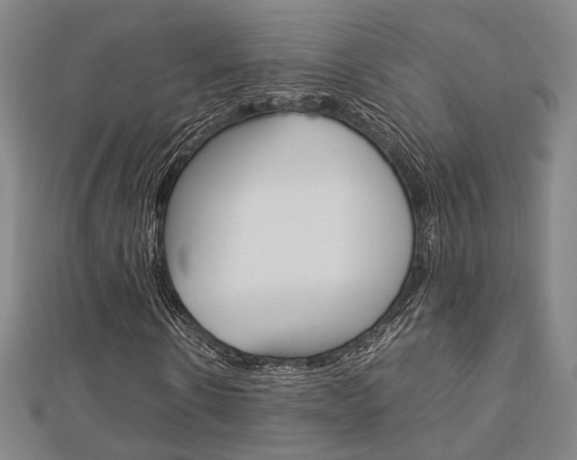 X0000112730914200908201010