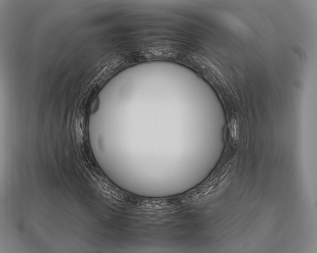 X0000112730915200908201010