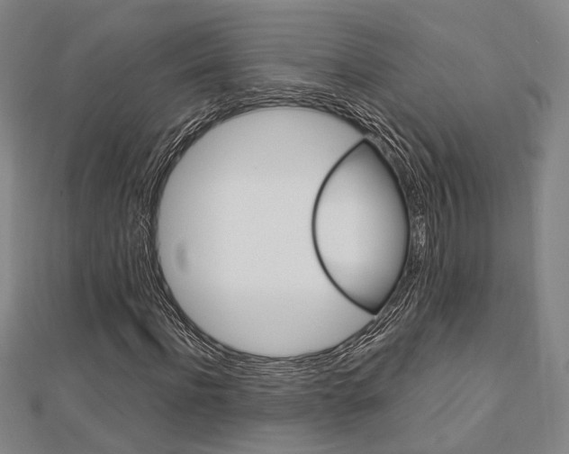 X0000112730916200908201010