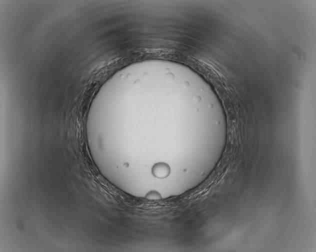 X0000112730917200908201010