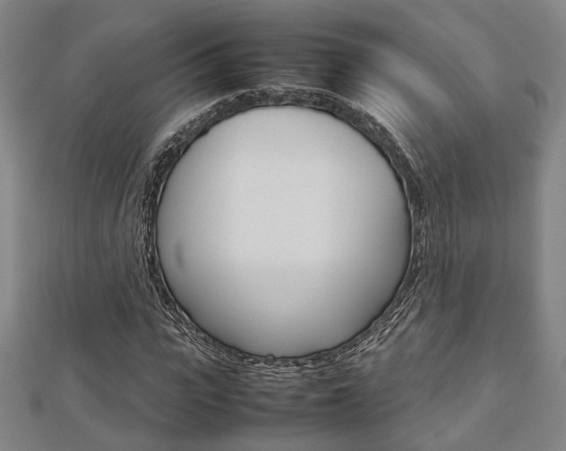 X0000112730919200908201010