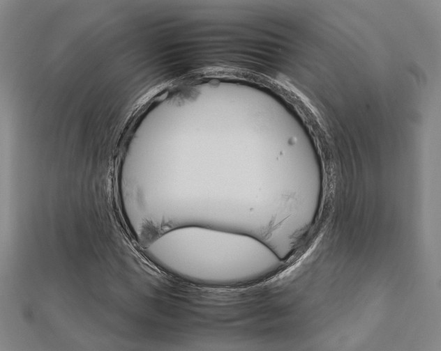 X0000112730921200908201010