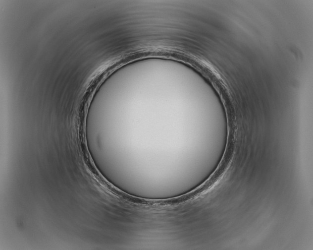 X0000112730922200908201010