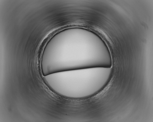 X0000112730923200908201010