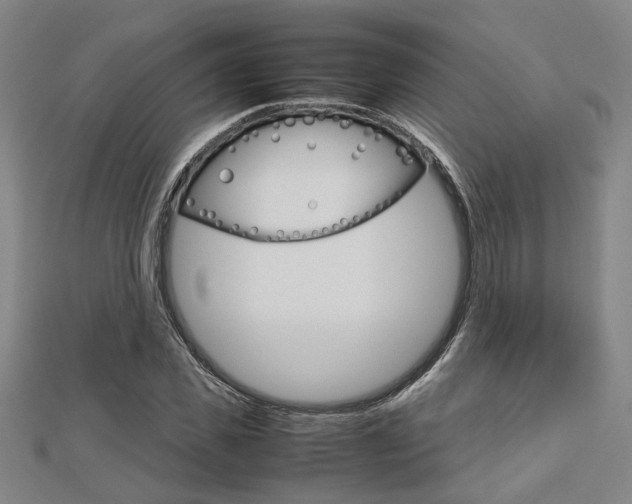 X0000112730925200908201010