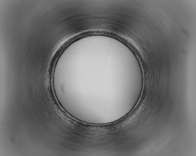 X0000112730927200908201010