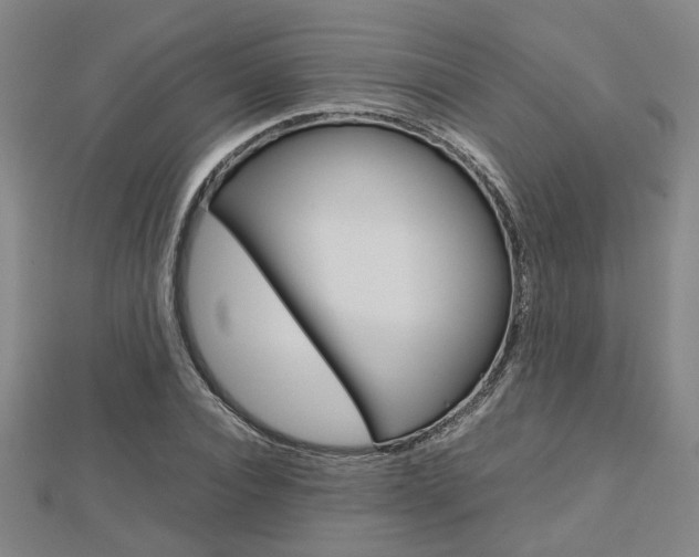 X0000112730928200908201010