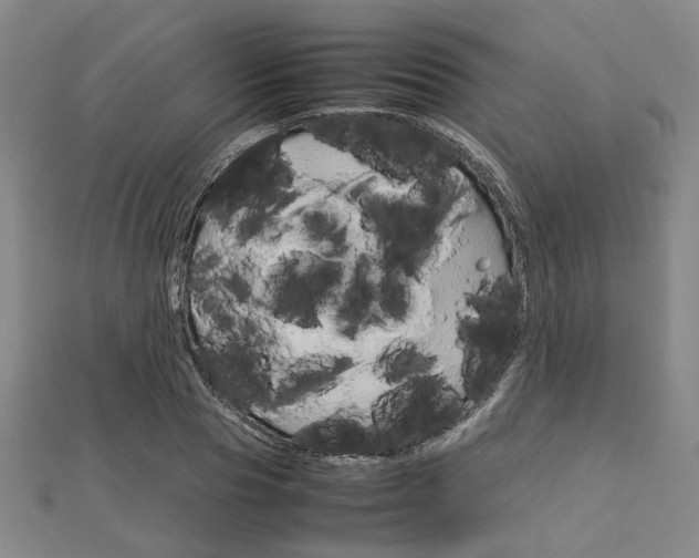 X0000112730929200908201010