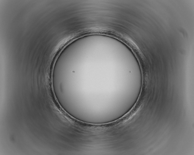 X0000112730930200908201010