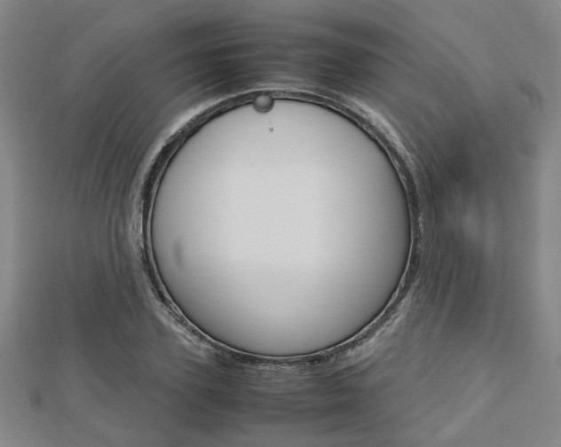 X0000112730931200908201010