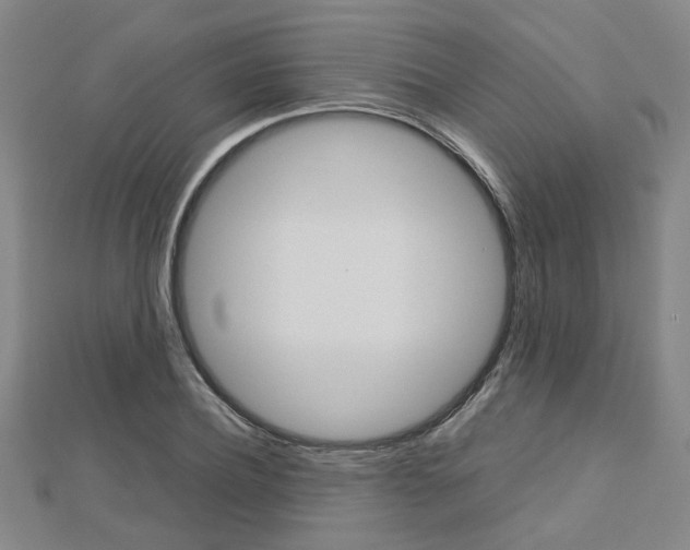 X0000112730932200908201010