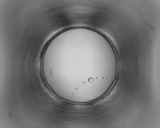 X0000112730933200908201010