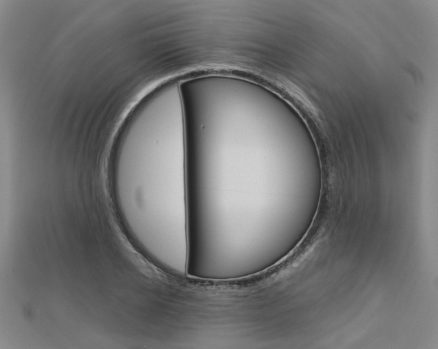 X0000112730934200908201010