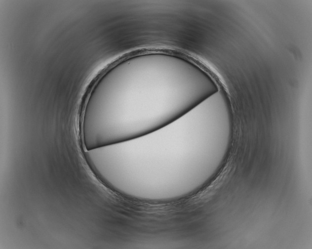 X0000112730935200908201010
