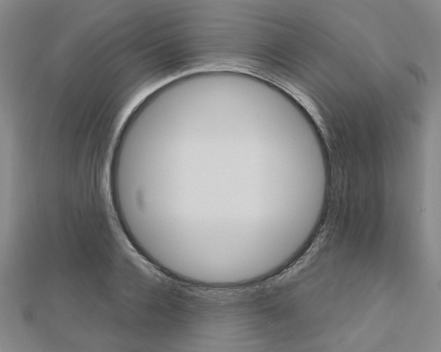 X0000112730936200908201010