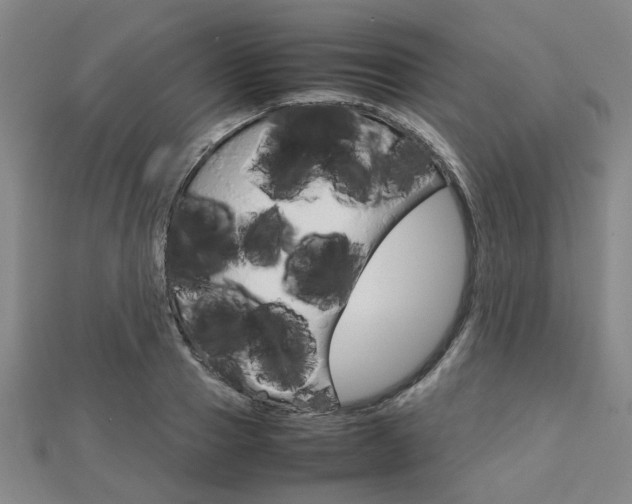 X0000112730937200908201010