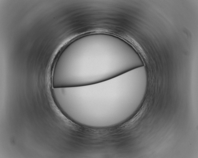 X0000112730939200908201010