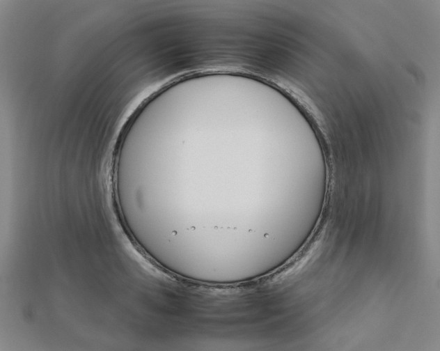 X0000112730941200908201010