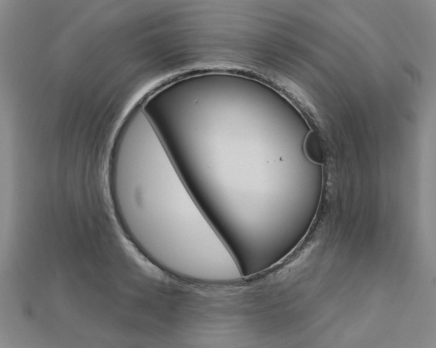 X0000112730942200908201010
