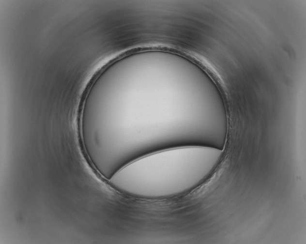 X0000112730943200908201010