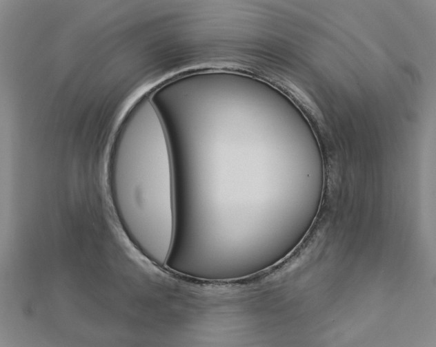 X0000112730944200908201010