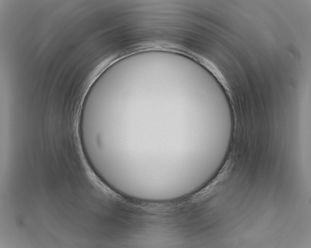 X0000112730946200908201010