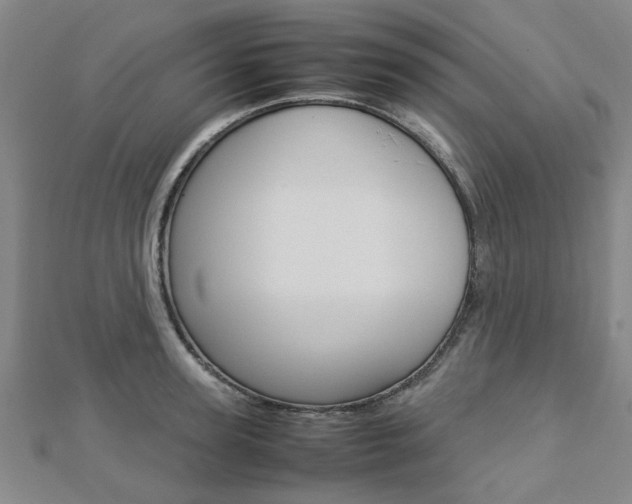 X0000112730947200908201010