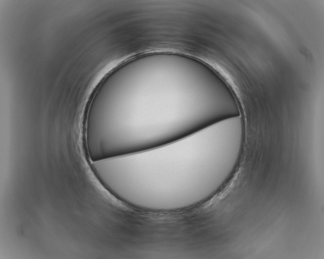 X0000112730949200908201010