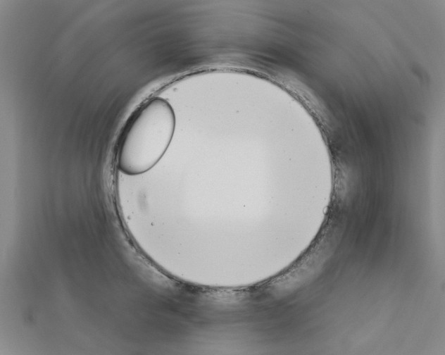 X0000112730950200908201010