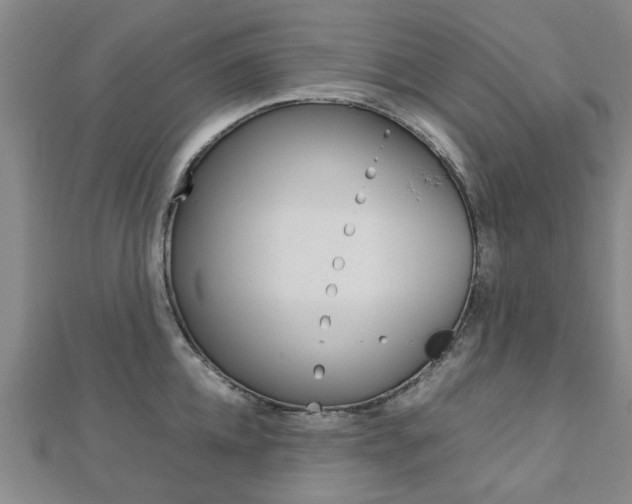 X0000112730952200908201010