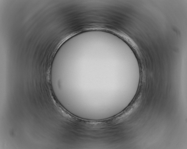 X0000112730953200908201010