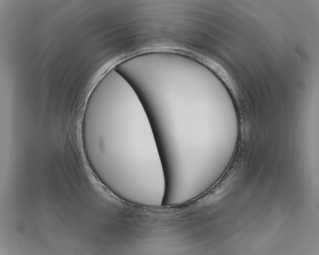 X0000112730954200908201010