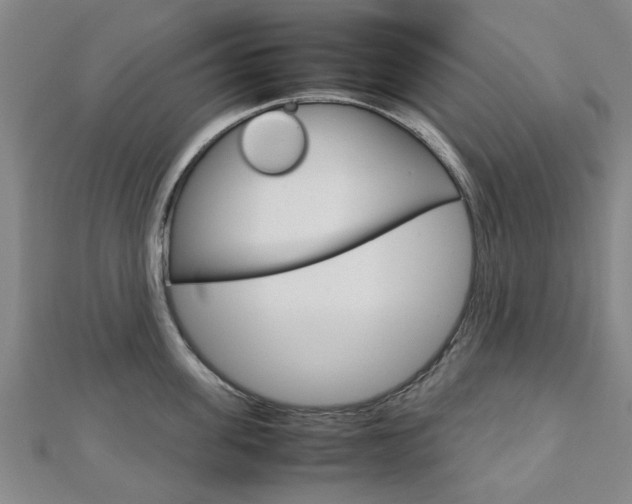 X0000112730955200908201010