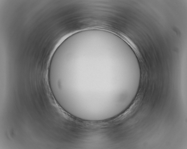 X0000112730956200908201010