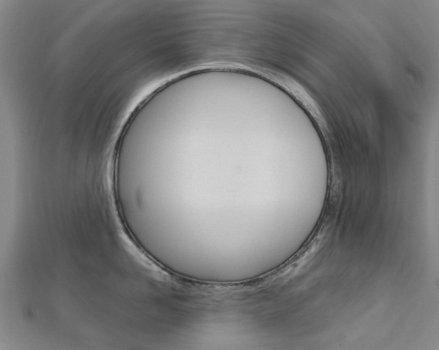 X0000112730958200908201010