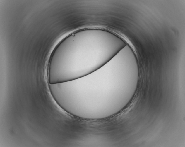 X0000112730959200908201010