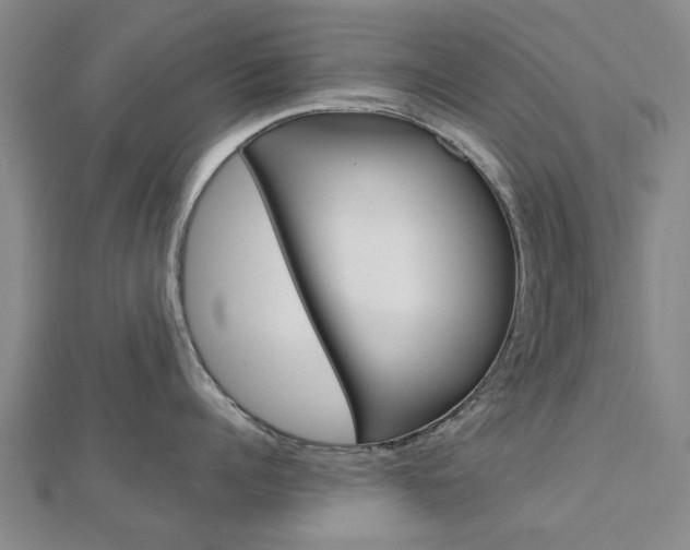 X0000112730960200908201010