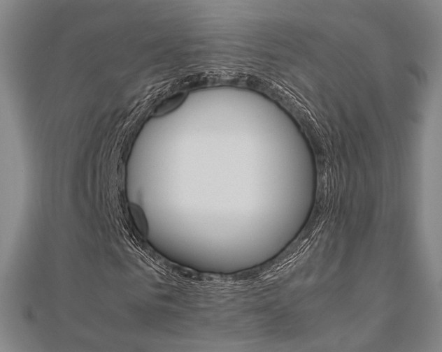 X0000112730961200908201010