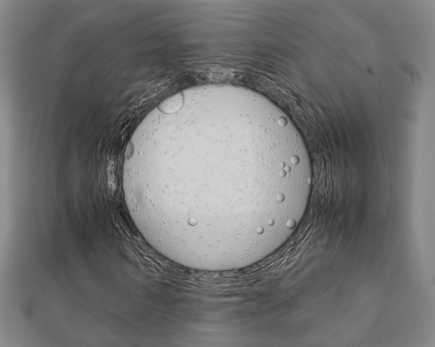 X0000112730962200908201010