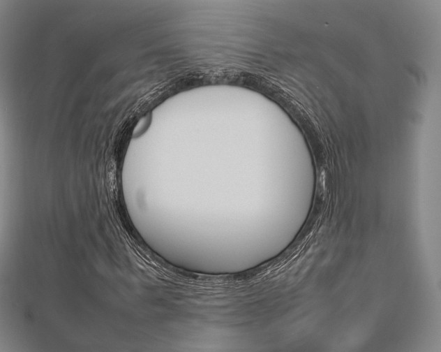X0000112730963200908201010