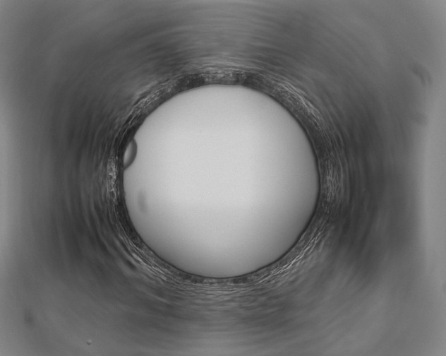 X0000112730964200908201010