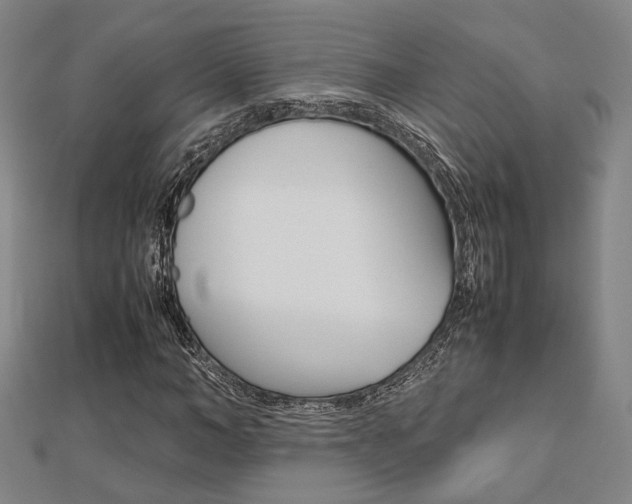 X0000112730966200908201010