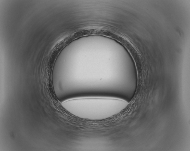 X0000112730967200908201010