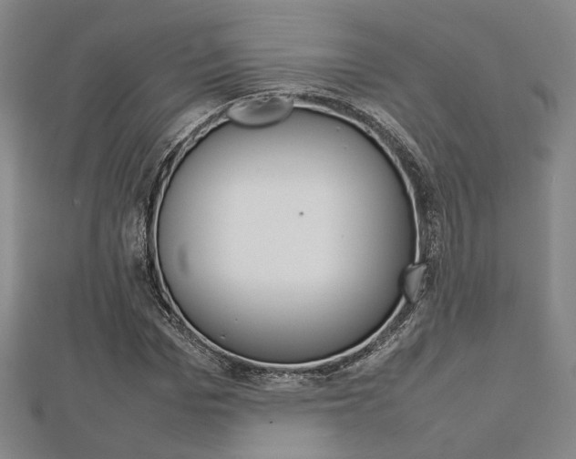 X0000112730969200908201010