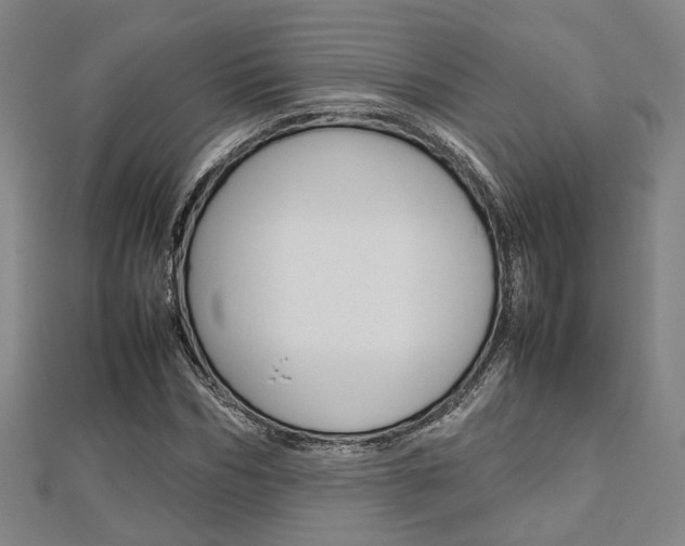 X0000112730970200908201010
