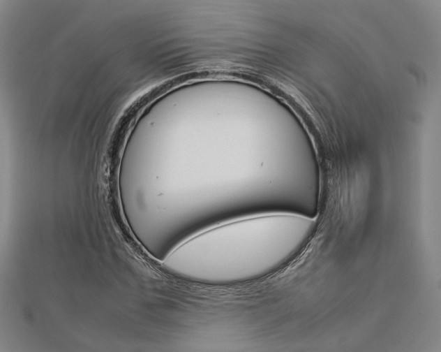 X0000112730971200908201010