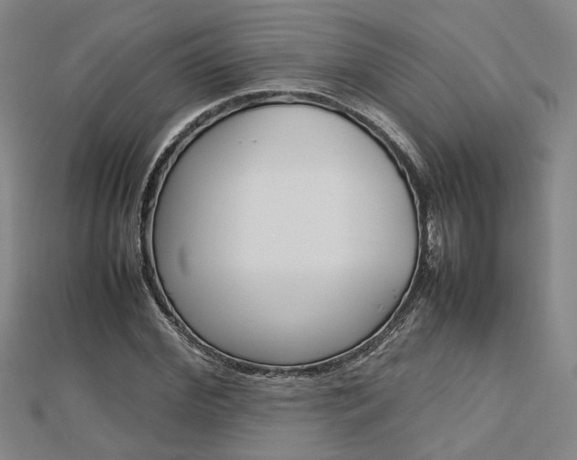 X0000112730972200908201010