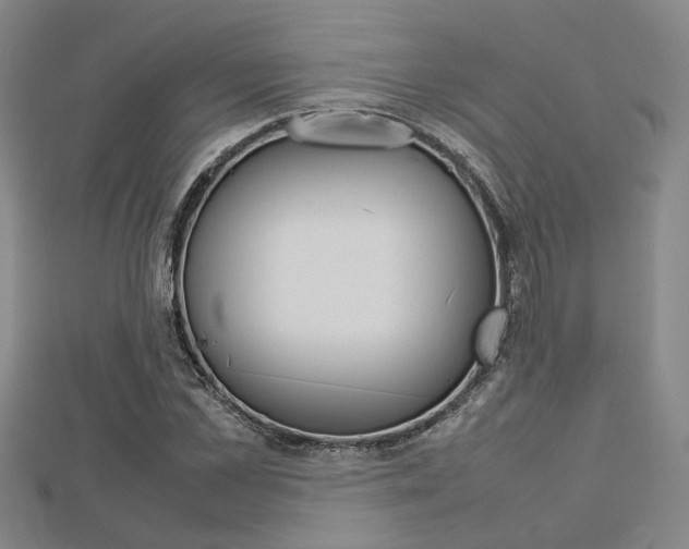 X0000112730973200908201010