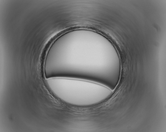 X0000112730975200908201010