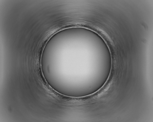 X0000112730977200908201009